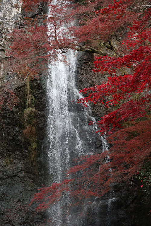 箕面の滝1